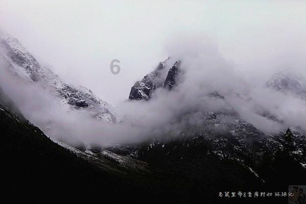 张爱玲去世后,为何把270万遗产给朋友,也不给住破屋的亲弟弟?