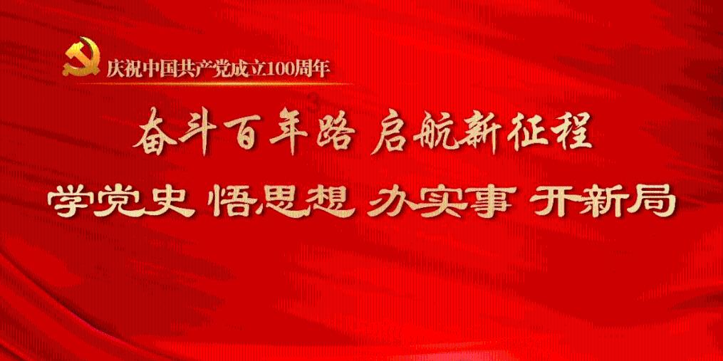 植物大战僵尸6