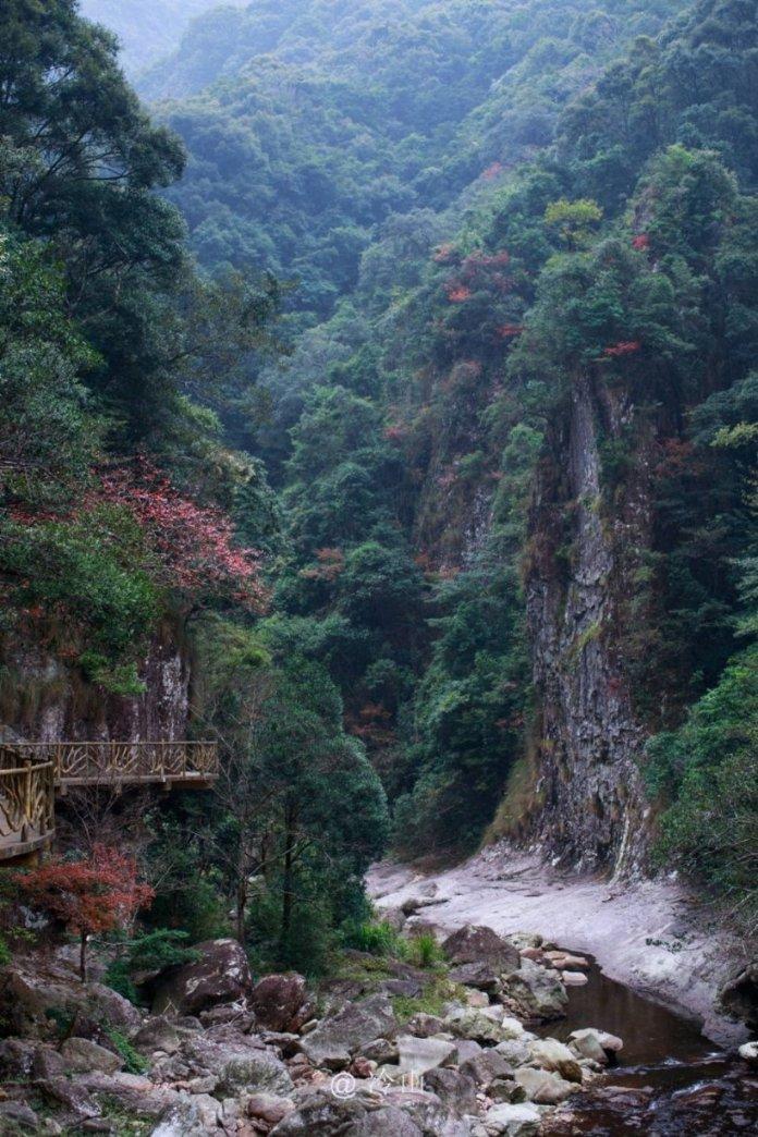 掘地挖宝