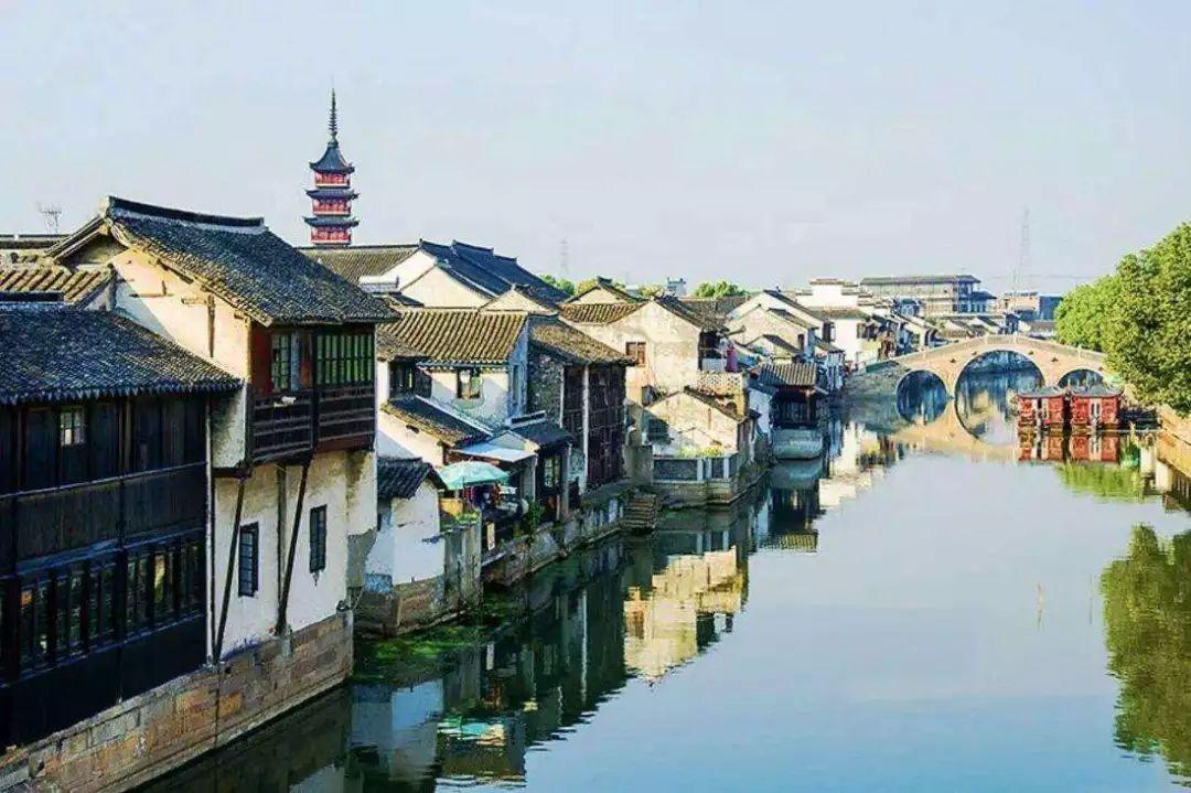 拯救机灵鸟